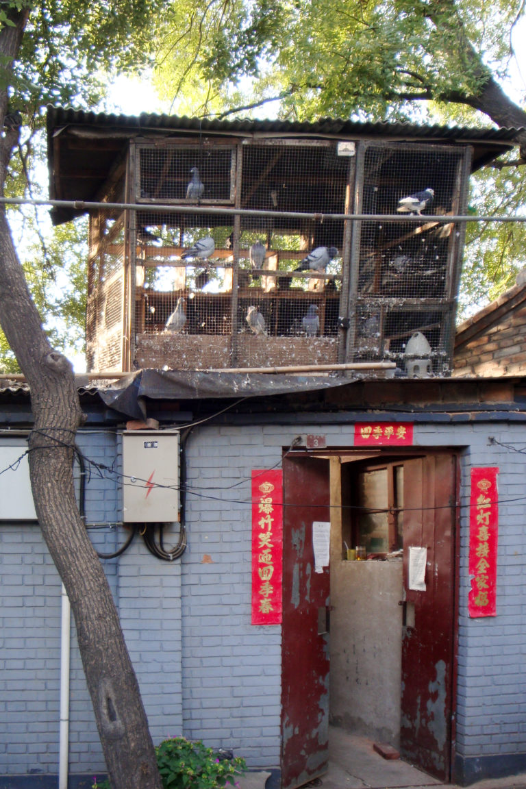 Wire pigeon loft above the gray-brick entrance of a Beijing hutong courtyard house with red Spring Festival couplets on either side of the door.