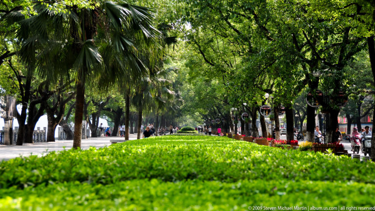 Tree-lined promenade with a landscaped median and shaded walkways beside the water in Guilin.