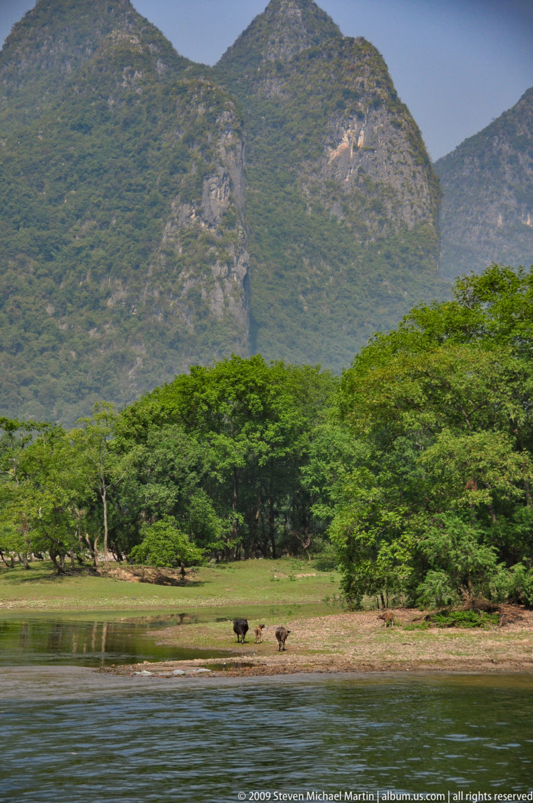 Dense subtropical forest with a pale karst cliff faintly visible behind along the Li River near Guilin, China.