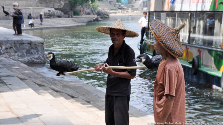 Two older cormorant fishermen in broad straw hats stand by the water holding bamboo poles with black fishing birds perched on them, with a riverboat in the background.