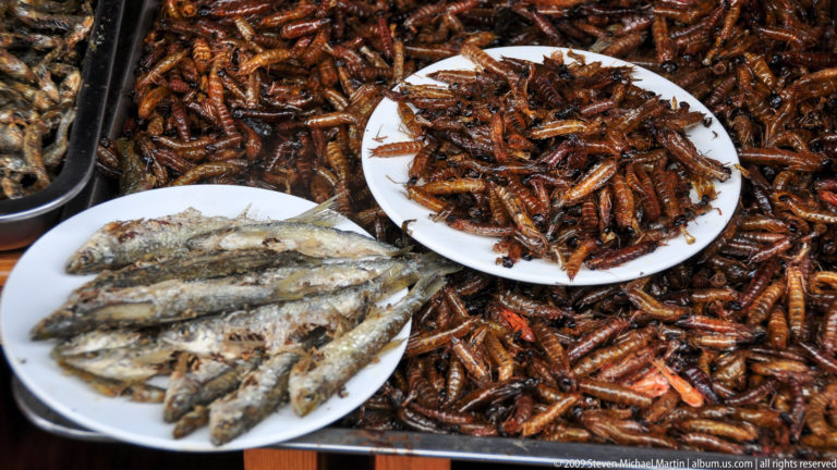 Medium view of plates of fried insects and small fish at a food stall in Lijiang, Yunnan, China.