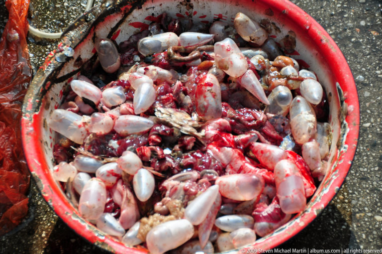 Red basin on a market floor containing butchered animal organs and pale translucent sacs in Lijiang, Yunnan, China.