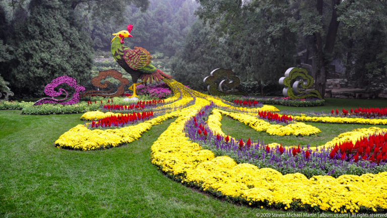 Large peacock-shaped floral display on a lawn, with sweeping yellow, red, purple, and green planted tail patterns against dark trees.