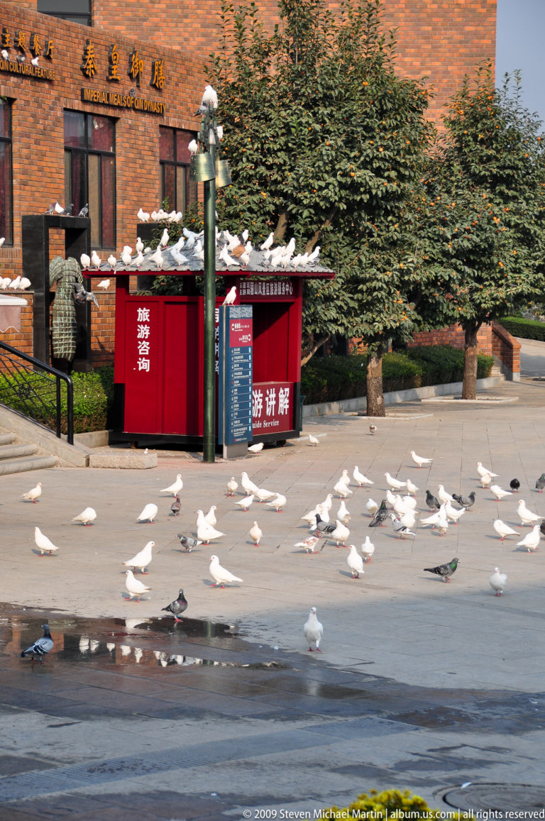 Red visitor-service kiosk behind a flock of white pigeons on a paved museum plaza at the Terracotta Army complex near Xi'an.