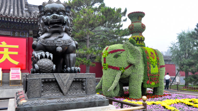 Dark stone guardian lion on a carved pedestal beside a large green elephant-shaped floral display with red accents.