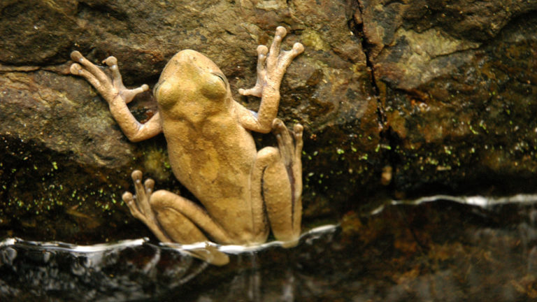 Costa Rica