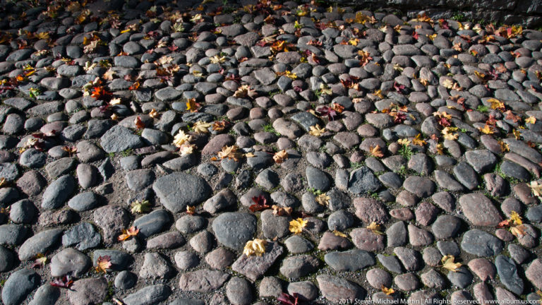 Close view of rounded cobblestones with scattered yellow and brown autumn leaves in Tallinn Old Town.