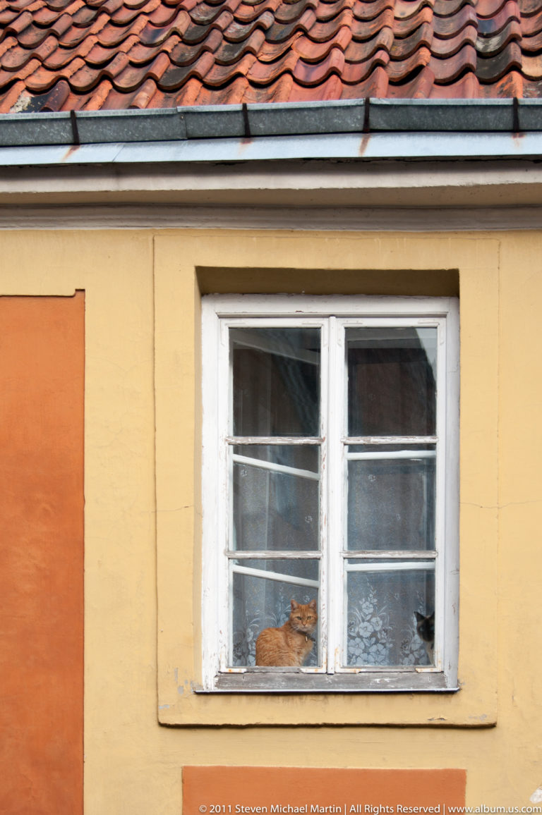 Cat resting behind a white multi-pane window in a yellow historic building beneath a red tiled roof.