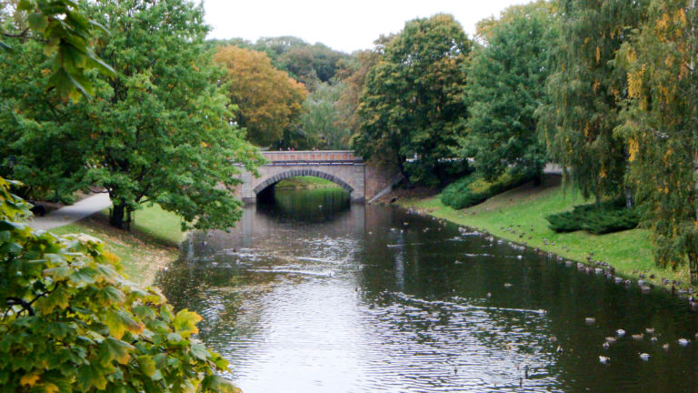 Tree-lined Riga canal with reflective water, ducks, grassy banks, and a low stone arch bridge.