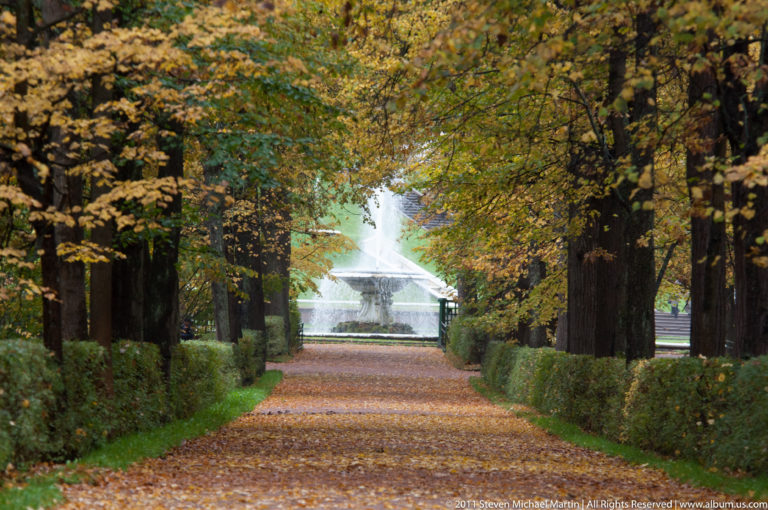 Leaf-covered path between hedges and mature trees leading toward a bright fountain in the distance.