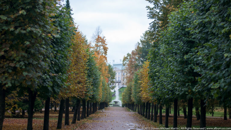 Straight tree-lined garden avenue with fallen autumn leaves and a pale building at the distant end.