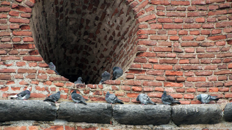 Several pigeons perched along a stone sill beneath a large red-brick-lined opening in the castle wall.