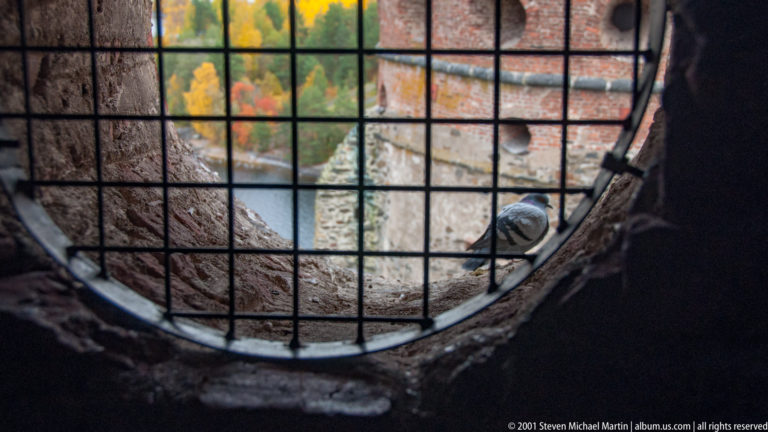 Pigeon perched on a deep castle window sill behind a square iron grille, with brickwork and autumn color outside.