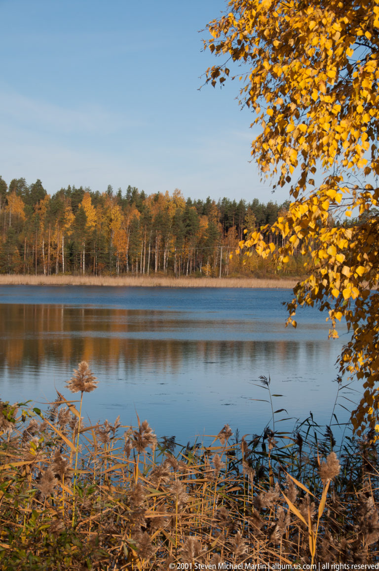 Calm blue lake between foreground reeds and a distant autumn forest, with yellow leaves framing the upper right corner.
