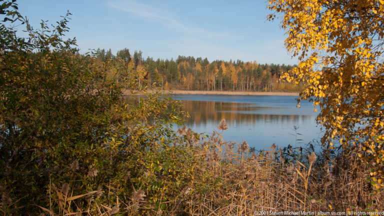Calm lake seen through shoreline shrubs and reeds, framed by yellow autumn leaves with forest on the opposite bank.