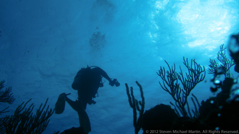 Belize Barrier Reef Reserve System