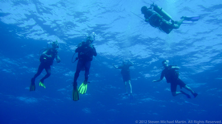 Five scuba divers hover beneath the bright water surface, spaced across open blue water.