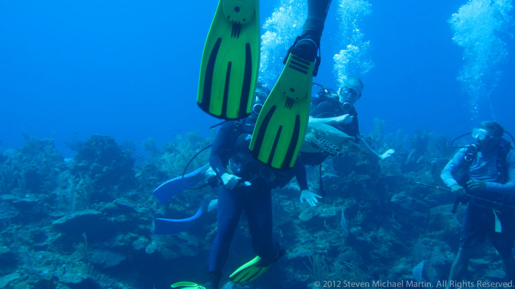 Several scuba divers gather above the reef behind a close pair of bright fins.