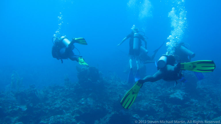 Four scuba divers swim above a coral reef, with bright fins and bubble trails visible in blue water.