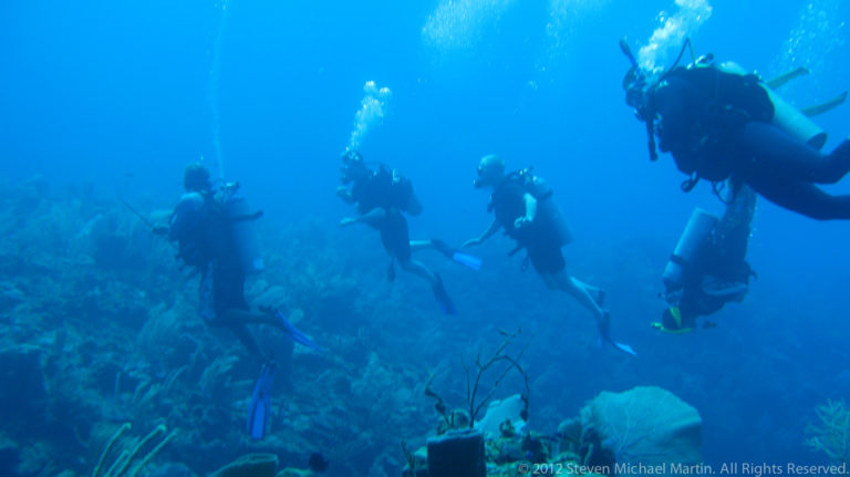 Five scuba divers move above the reef at different depths, with one close at upper right.