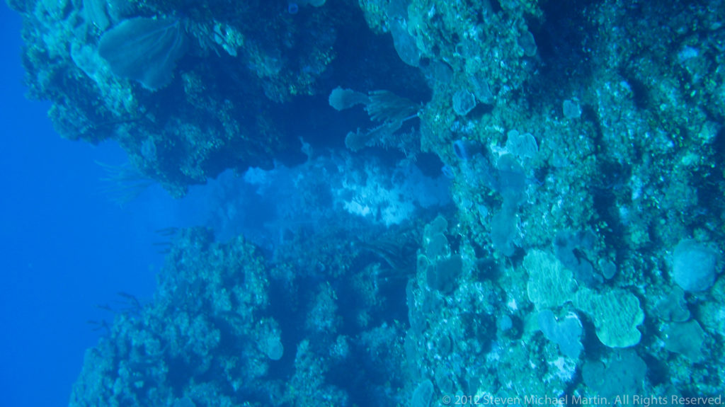 Steep coral reef wall covered with corals and sponges descends beside open blue water.