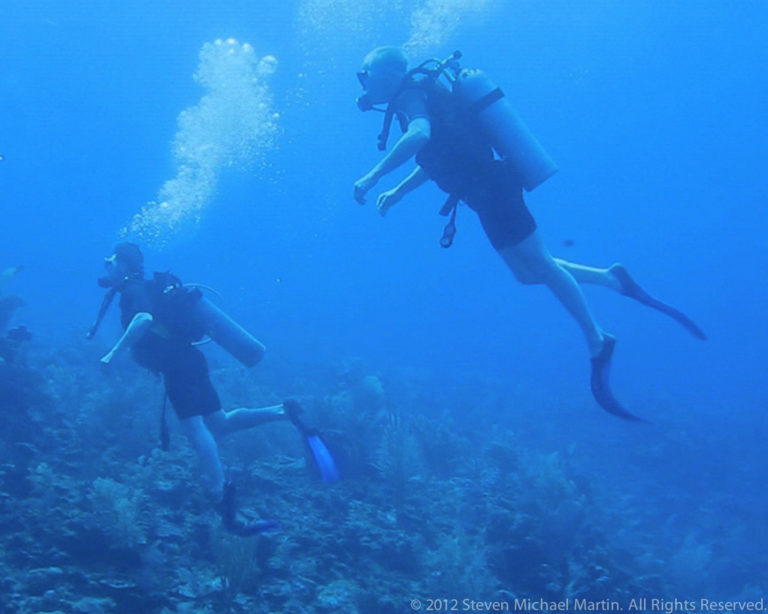 Two scuba divers move horizontally over a coral reef, with one diver higher and closer to the camera.