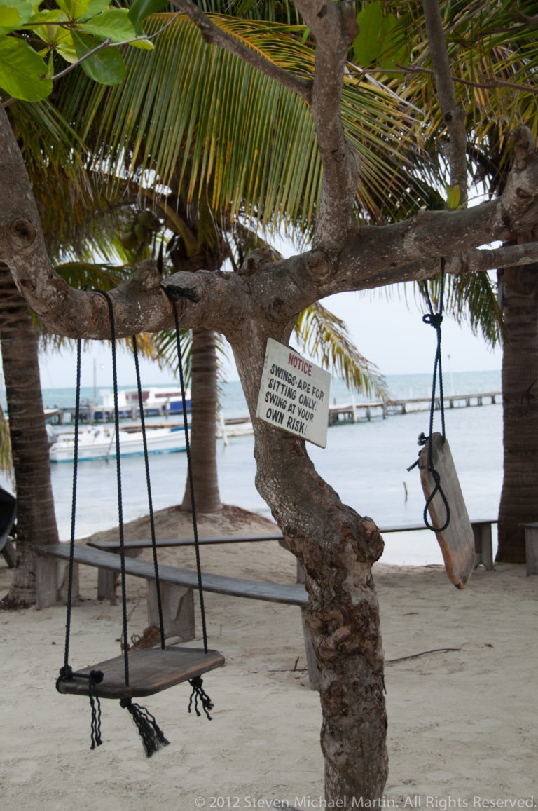 Rope swings hanging from a low seaside tree beside a private-property sign, with sand, palms, boats, and a pier beyond.