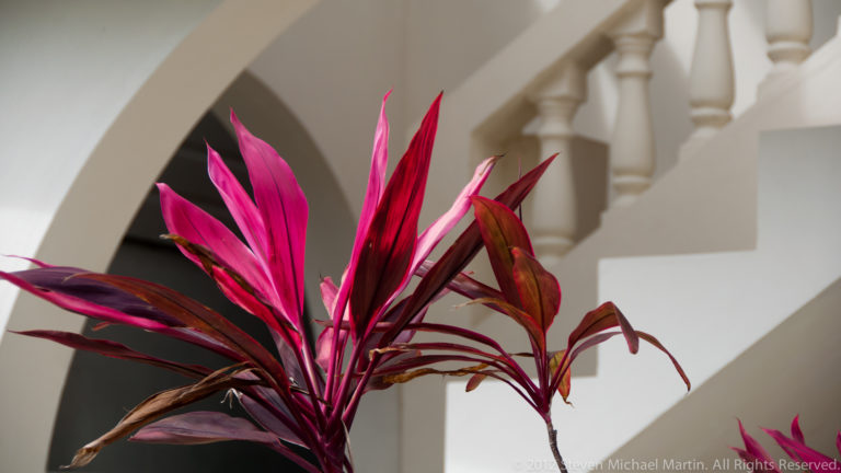 Deep red and magenta tropical leaves in front of a white arched staircase and balustrade.