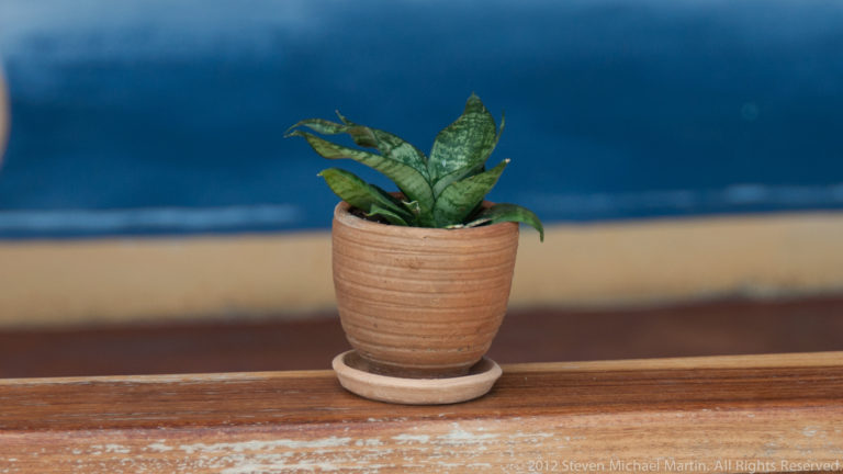 Small snake plant in a ribbed brown pot on a wooden ledge against a softly blurred blue background.