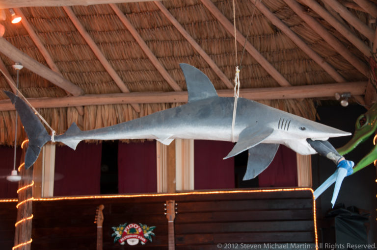 Large gray shark model suspended from rafters beneath a thatched restaurant roof in San Pedro.