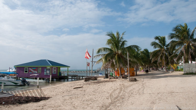 Sandy San Pedro beach with coconut palms, a colorful waterfront building, pier, and small boats.