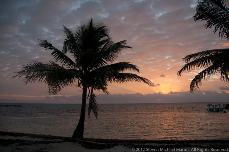 Coconut palm silhouetted beside the Caribbean Sea at sunrise, with warm clouds and calm water.