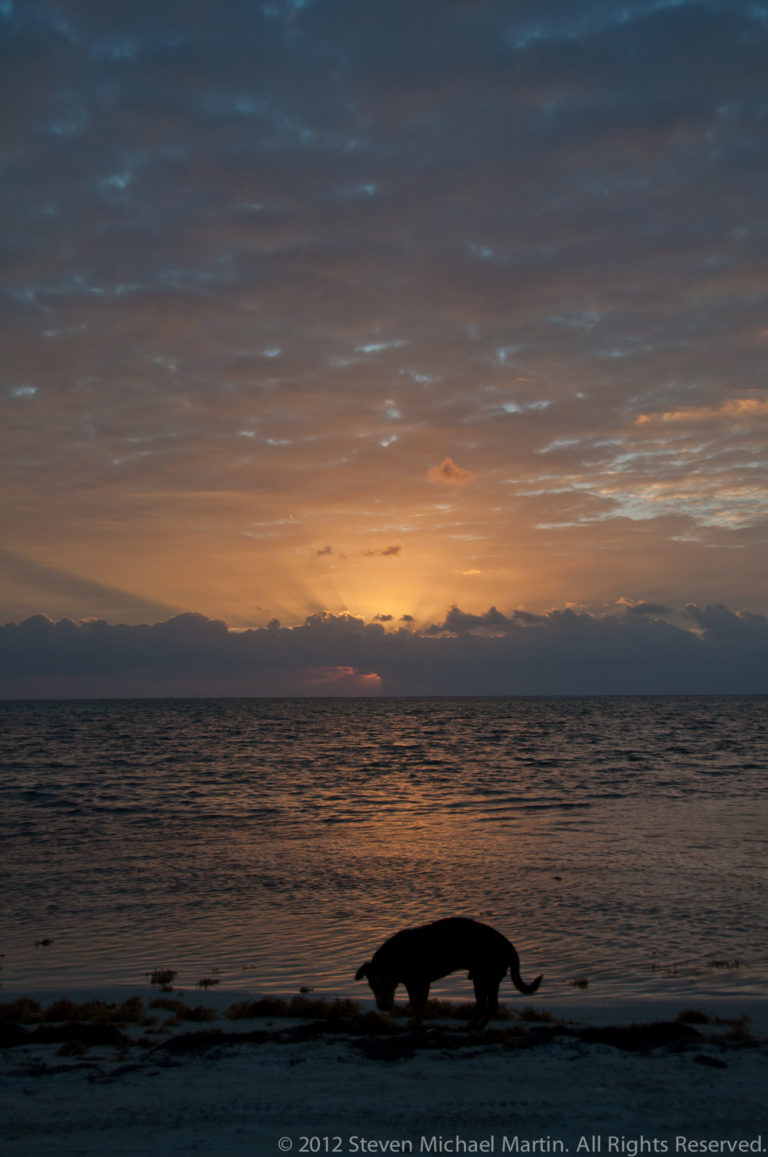 Dark curved object on a beach foreground beneath an orange Caribbean dawn sky.