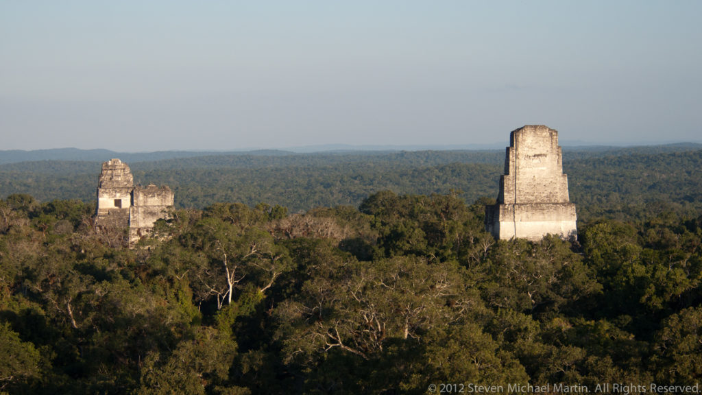 Panoramic view from a high vantage point at Tikal showing two pale stepped temple towers emerging above a continuous green rainforest canopy under hazy light.