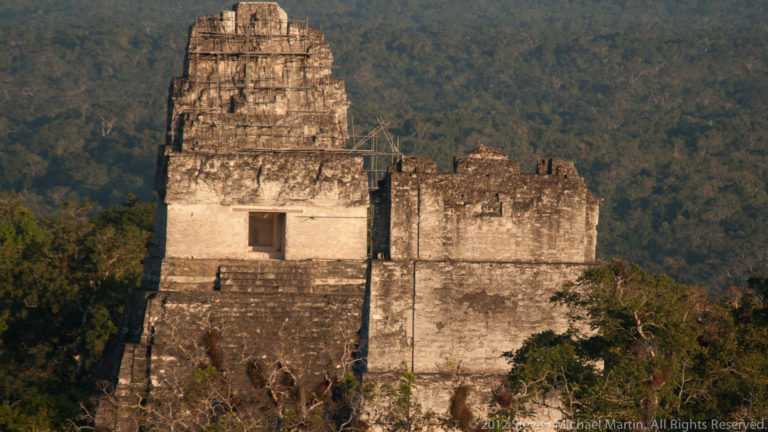 Telephoto view of a Tikal temple’s white-stuccoed upper sanctuary and roof comb standing above the surrounding rainforest canopy.