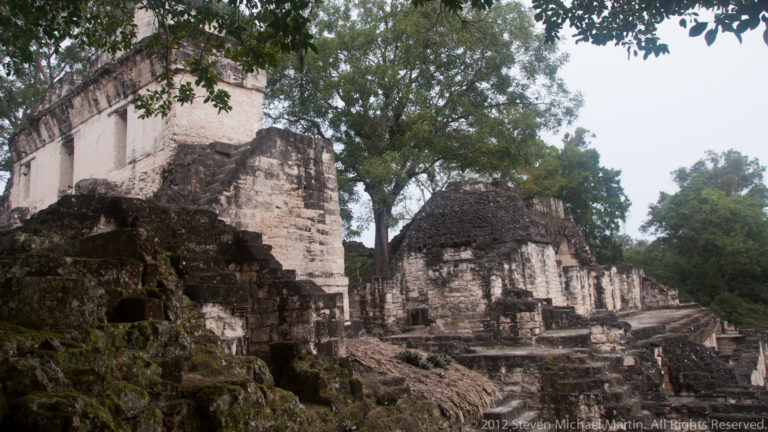 Weathered limestone rooms and terraces with white stucco remnants in a forested Maya palace or acropolis complex at Tikal.