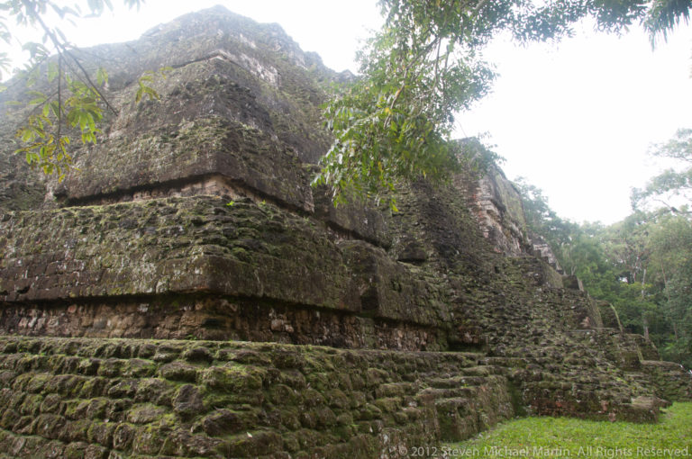 Low moss-covered Maya limestone platform at Tikal with stepped terraces and a narrow side stairway beneath the forest canopy.