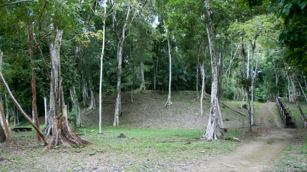 Tree-covered archaeological mound beside a dirt visitor path and wooden steps at Yaxha.
