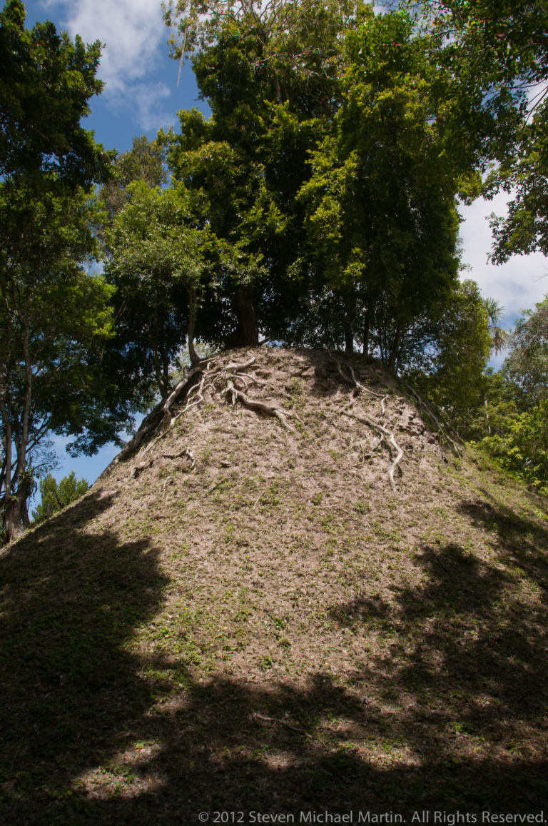 Low rounded archaeological mound covered with soil, roots, and shade beneath large trees in the forest.
