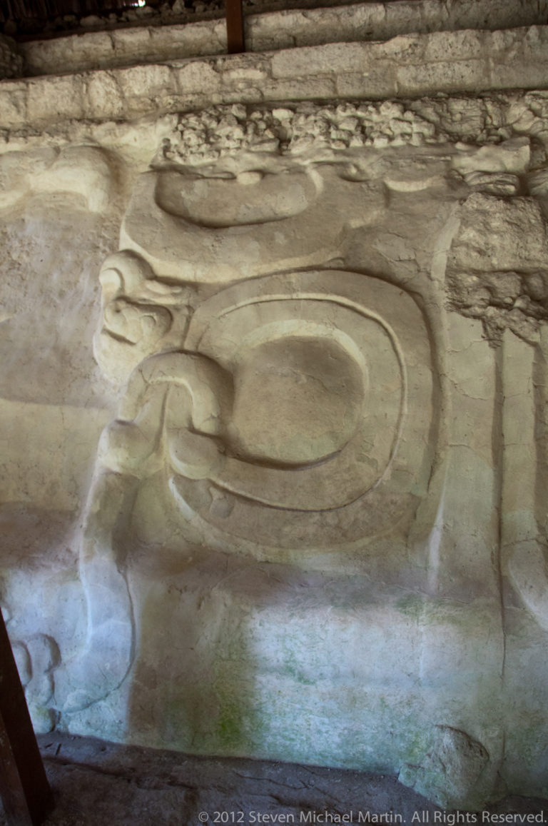 Close view of a pale carved architectural relief with a large rounded curving motif and weathered surface.