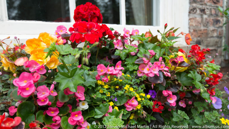 Red, pink, orange, and yellow flowers fill a planter beside a pale stone wall and brick building.
