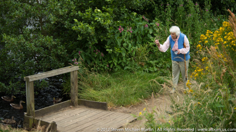 A woman stands among flowers beside a wooden footbridge, with ducks visible on the pond below.