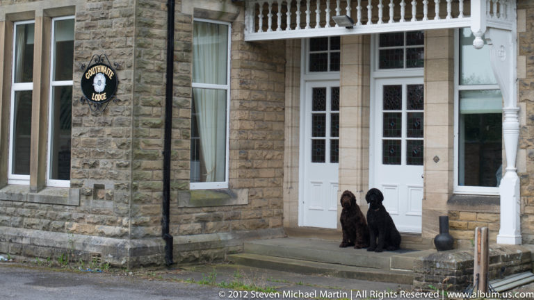 A brown dog and a black dog sit together at a white paneled doorway in a stone façade.