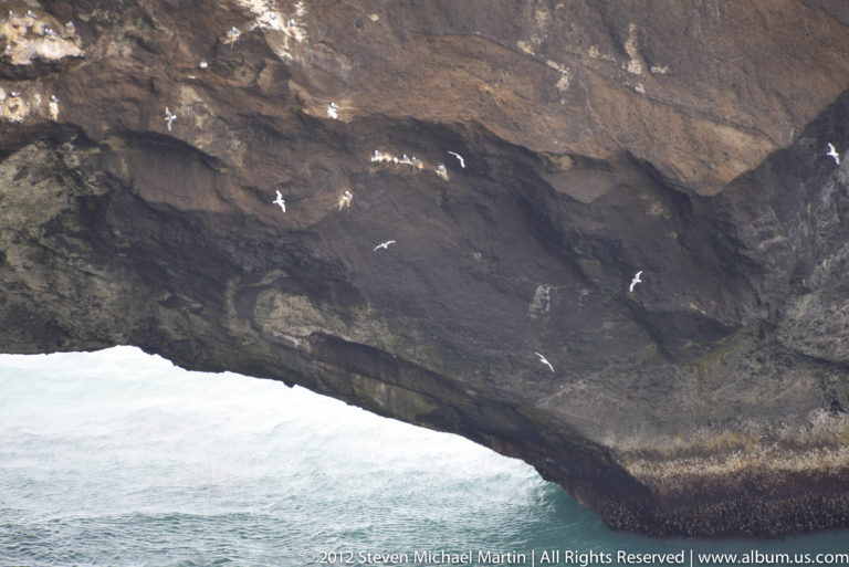 Seabirds fly beneath the dark basalt ceiling of Dyrhólaey’s sea arch above the North Atlantic.