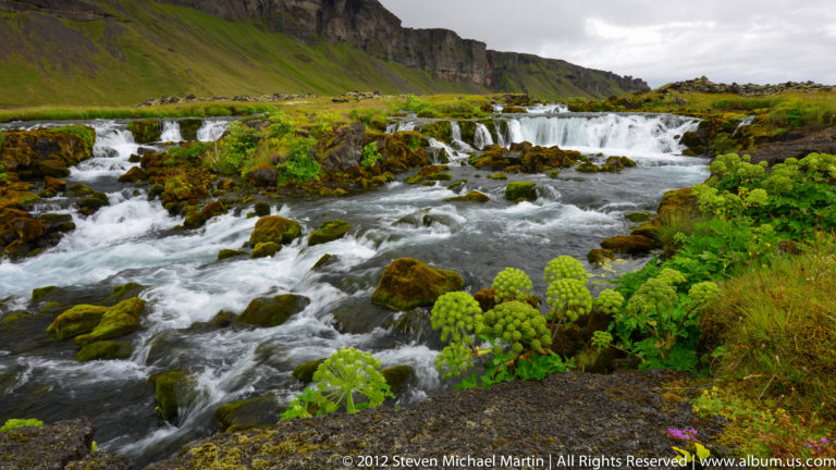 Shallow whitewater flows over dark rocks among vivid moss and green riverbank plants.