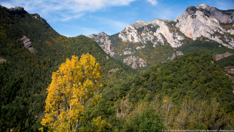 Yellow autumn tree stands above green woodland below pale rocky ridges of Montserrat under blue sky.