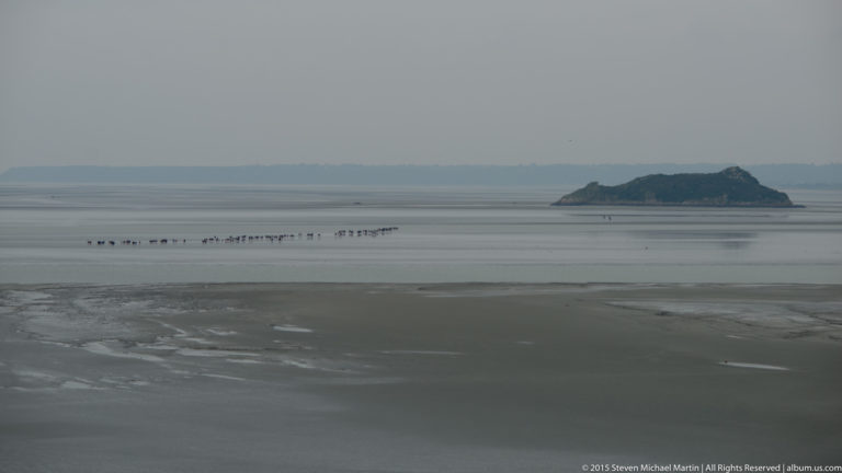 Small walking group crossing tidal flats with the rocky islet of Tombelaine in the distance.