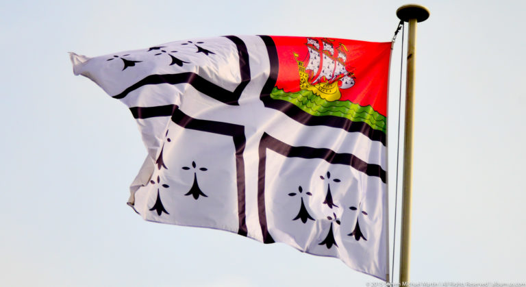 White-and-black flag with repeated ermine motifs and a red-and-green heraldic canton flying from a pole.