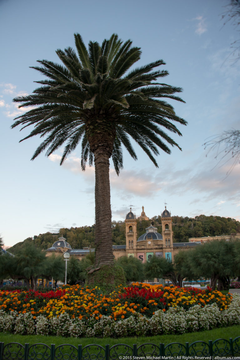Large palm tree and bright flower beds in Alderdi Eder gardens, with San Sebastián City Hall behind.