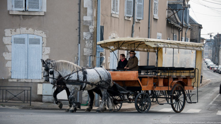 White horse pulling a covered carriage past shuttered historic buildings on a street in Blois.
